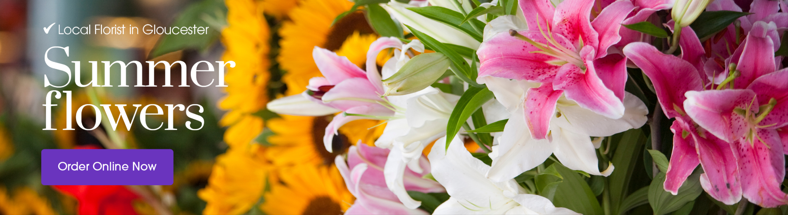 Homepage Banner 1