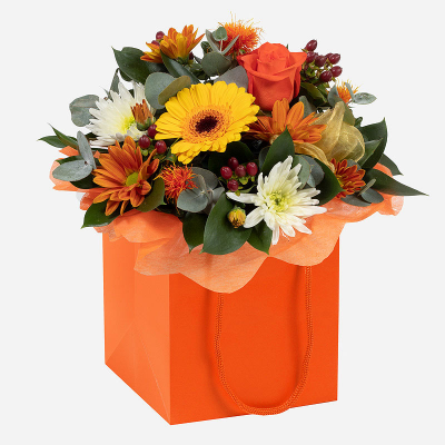 Wild Autumn - A beautifully presented seasonal gift to send for all occasions during the Autumn months. Delivered by a local florist, your gift will be filled with a delightful selection of vibrant flowers to make your recipient go “Wow!”